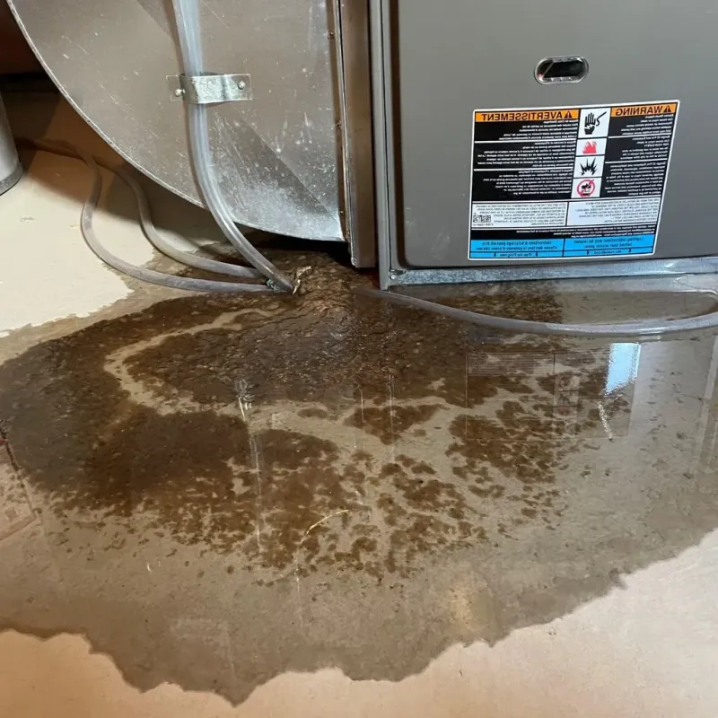 Pipe Burst and Leak Restoration in Macon County, MO